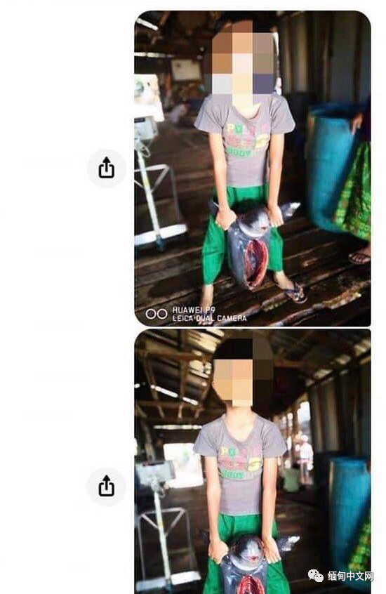 伊洛瓦|太猖狂！缅甸男子不仅杀害食用“国宝”，还拍照在社交网站炫耀