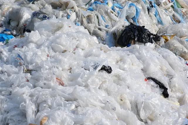 不要再用不可降解塑料袋了!明年起,每个人最好都用帆布袋