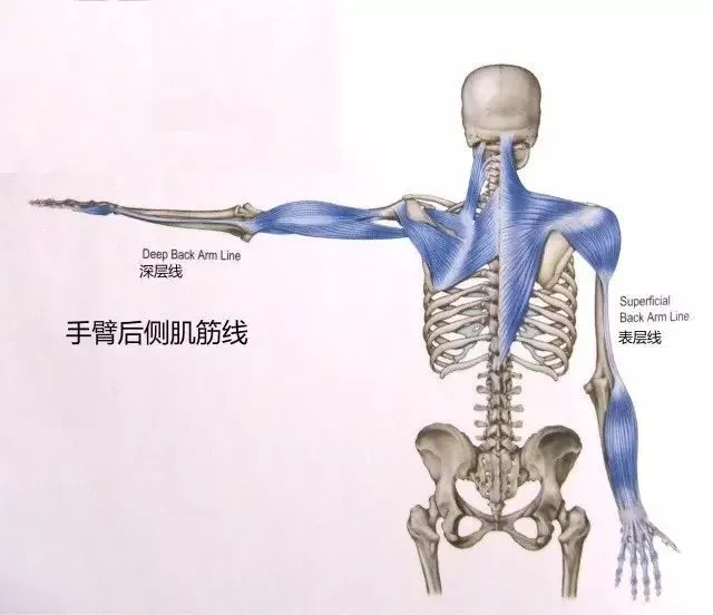 如何開肩?5個瑜伽動作