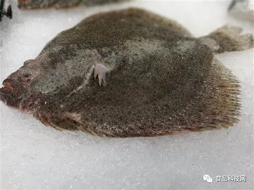 预防老年痴呆,从吃开始!人到中老年,这8种食物应该多吃