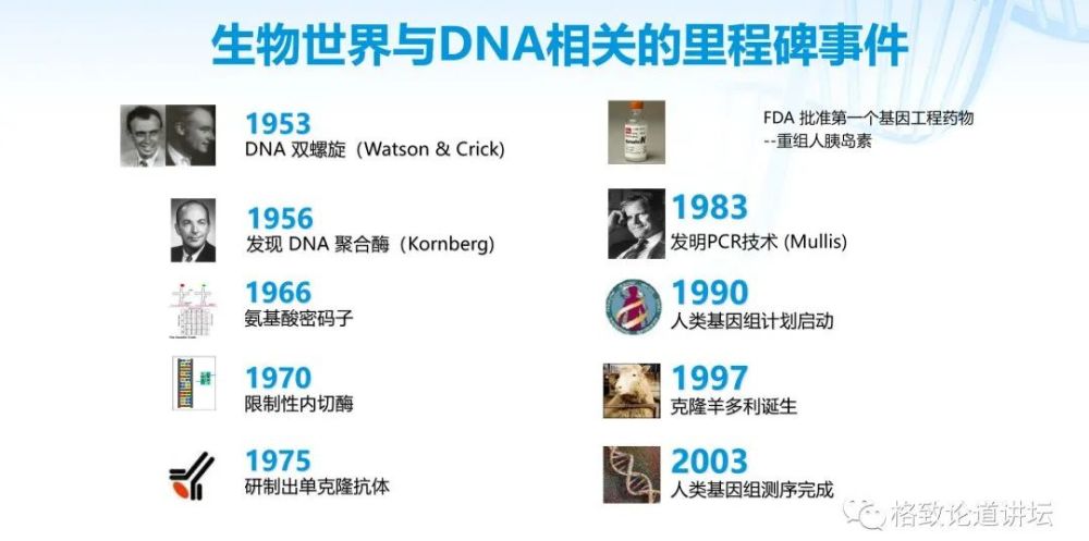 基因工程|21世纪的基因工程究竟意味着什么？DNA是福祸之源，也是财富
