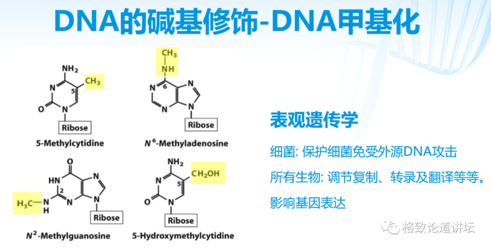 基因工程|21世纪的基因工程究竟意味着什么？DNA是福祸之源，也是财富