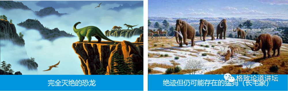 基因工程|21世纪的基因工程究竟意味着什么？DNA是福祸之源，也是财富