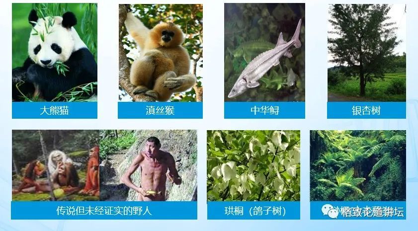 基因工程|21世纪的基因工程究竟意味着什么？DNA是福祸之源，也是财富