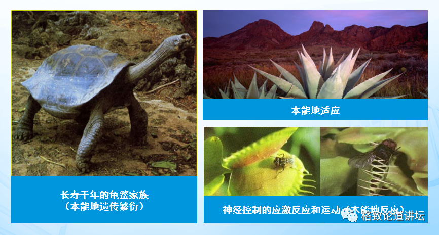 基因工程|21世纪的基因工程究竟意味着什么？DNA是福祸之源，也是财富