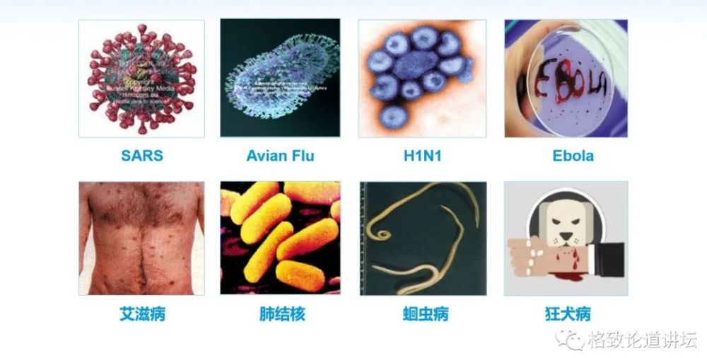 基因工程|21世纪的基因工程究竟意味着什么？DNA是福祸之源，也是财富