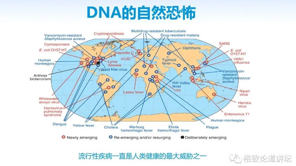 基因工程|21世纪的基因工程究竟意味着什么？DNA是福祸之源，也是财富