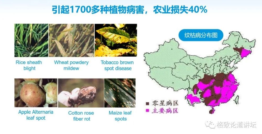 基因工程|21世纪的基因工程究竟意味着什么？DNA是福祸之源，也是财富