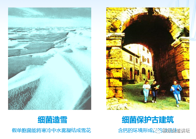 基因工程|21世纪的基因工程究竟意味着什么？DNA是福祸之源，也是财富