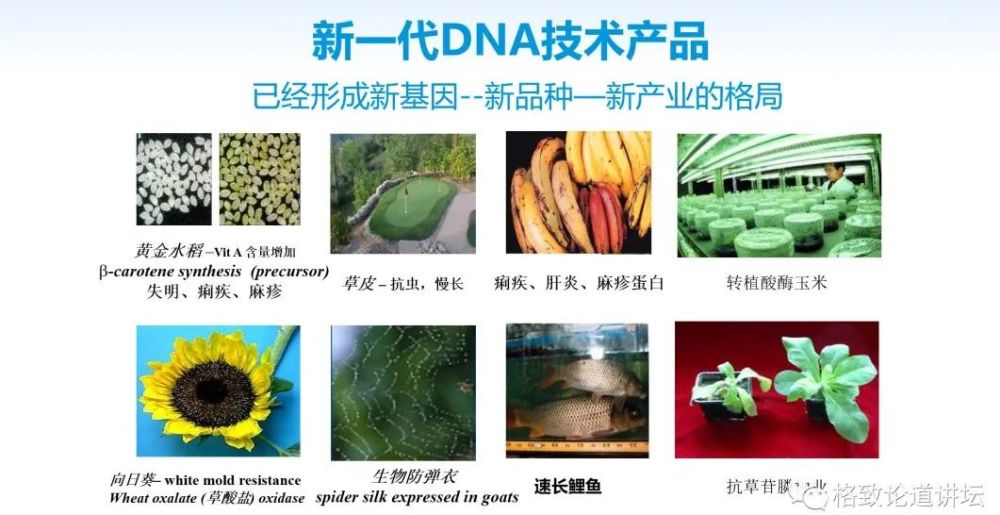 基因工程|21世纪的基因工程究竟意味着什么？DNA是福祸之源，也是财富
