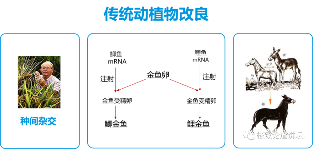 基因工程|21世纪的基因工程究竟意味着什么？DNA是福祸之源，也是财富