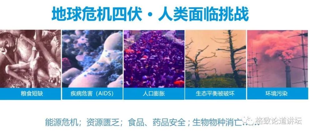 基因工程|21世纪的基因工程究竟意味着什么？DNA是福祸之源，也是财富