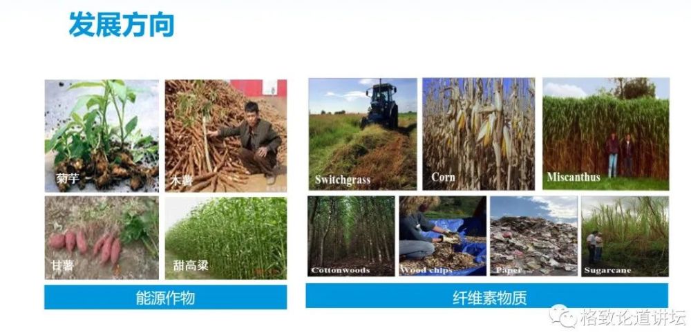 基因工程|21世纪的基因工程究竟意味着什么？DNA是福祸之源，也是财富