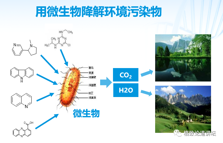 基因工程|21世纪的基因工程究竟意味着什么？DNA是福祸之源，也是财富