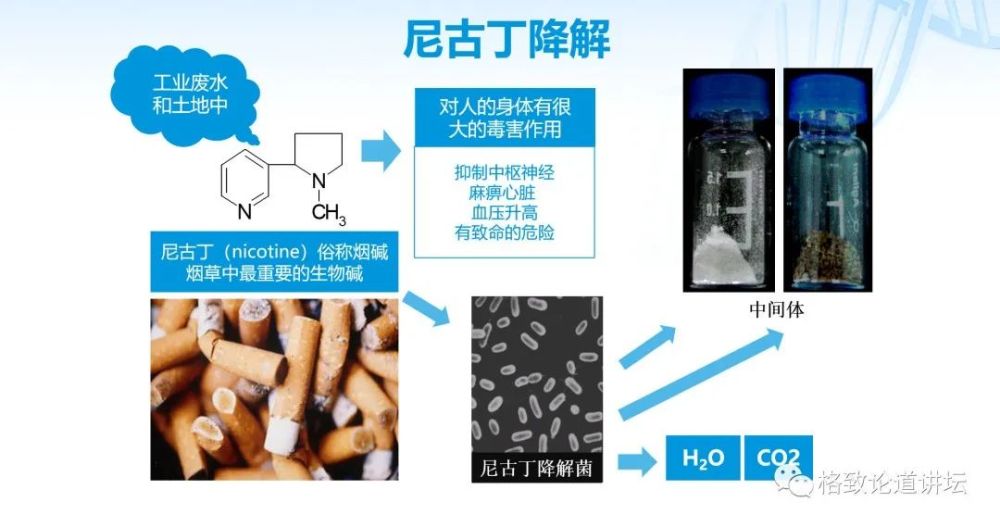 基因工程|21世纪的基因工程究竟意味着什么？DNA是福祸之源，也是财富