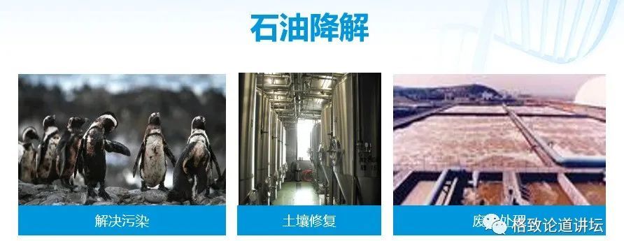 基因工程|21世纪的基因工程究竟意味着什么？DNA是福祸之源，也是财富