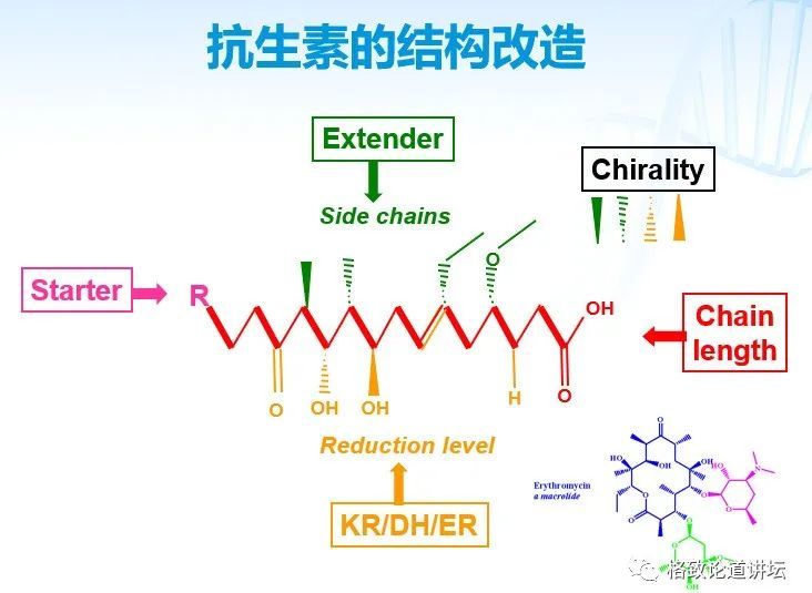 基因工程|21世纪的基因工程究竟意味着什么？DNA是福祸之源，也是财富