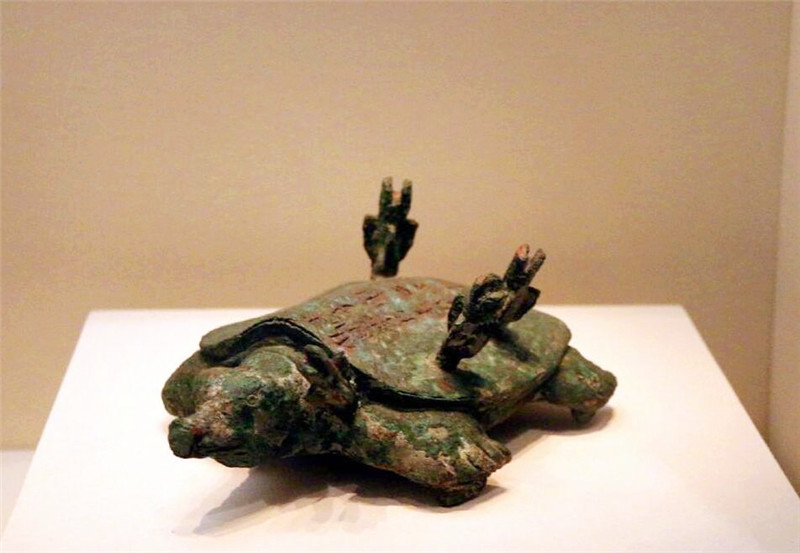 河南|河南老汉钓到一只“乌龟”，其背插4支箭，专家：这一竿值18亿