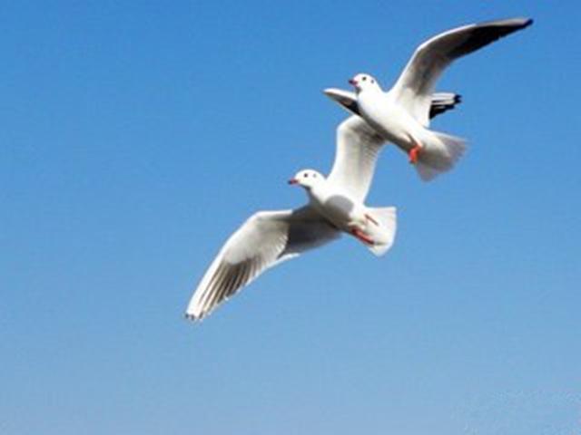 李商隐|李商隐真敢写，人人避之不及的皇室丑闻，被他用一首诗道出