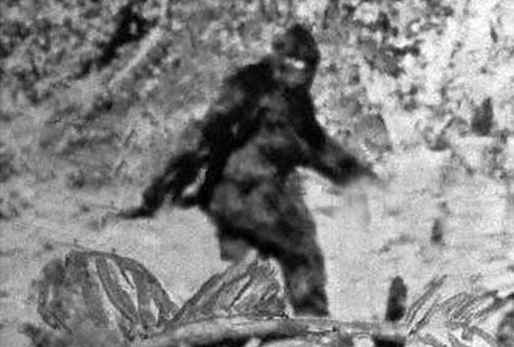 谷歌地图|罕见！南极发现“类似人”的身影，谷歌地图清晰看到，高22.69米