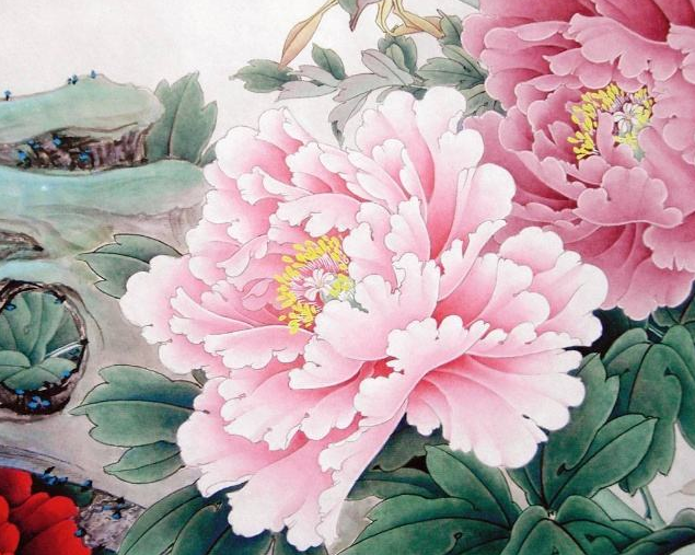 "牡丹头"真的像牡丹一样吗?本篇带你了解牡丹头的那些事