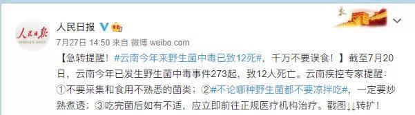 蘑菇|警惕！这道“菜”不要随便吃，最近已致多人死亡！