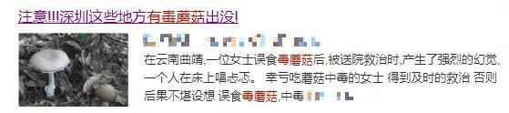 蘑菇|警惕！这道“菜”不要随便吃，最近已致多人死亡！