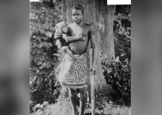 布朗克斯动物园|美国动物园114年后终于道歉：不该把非洲人关在猴笼展览