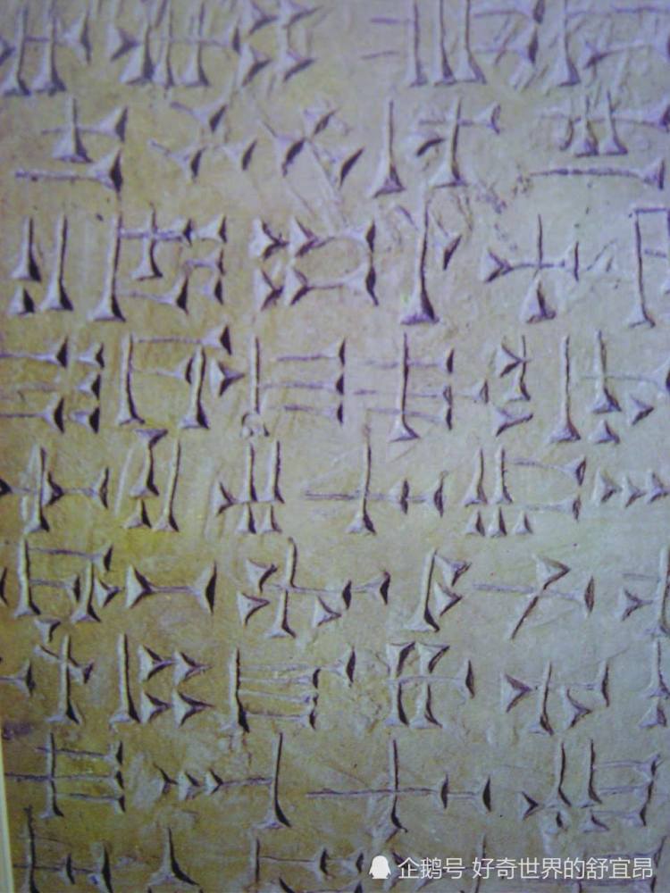 人类起源|人类起源：进化论真的是对的？我带着证据来质疑！