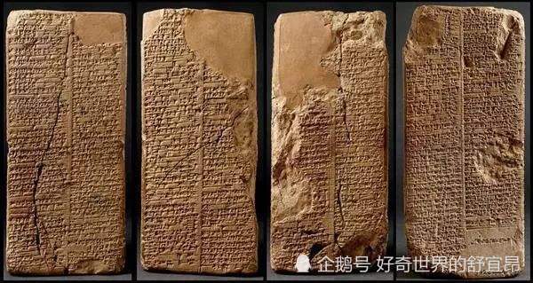 人类起源|人类起源：进化论真的是对的？我带着证据来质疑！