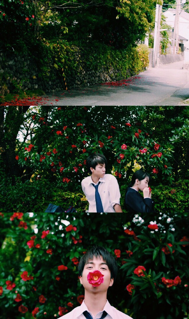 小松菜奈,管田将晖,绫濑遥,山崎贤人日系情侣写真,实在是好看