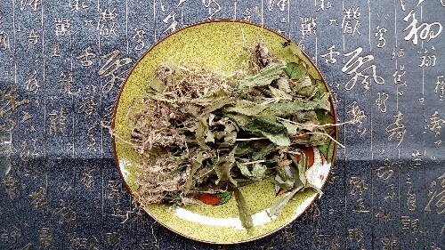 如何有效防治痛风降低尿酸是关键可以用这3种野草泡水喝