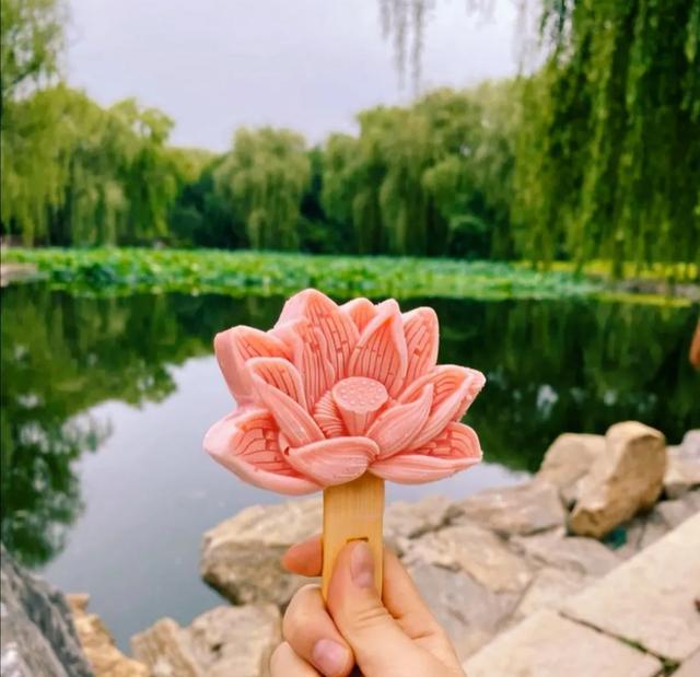 圆明园|罕见！圆明园再现并蒂莲，北京这些赏荷地点不容错过！