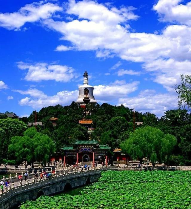 圆明园|罕见！圆明园再现并蒂莲，北京这些赏荷地点不容错过！