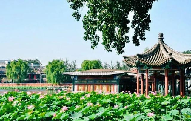 圆明园|罕见！圆明园再现并蒂莲，北京这些赏荷地点不容错过！