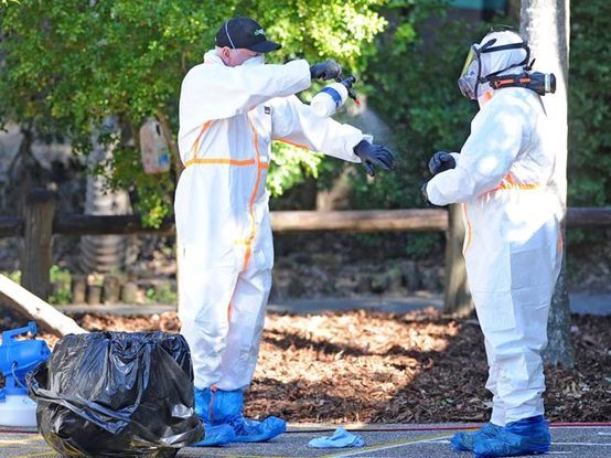 布里斯班市|在墨尔本偷窃、在布里斯班放毒，澳三女子成全民公敌，遭警方起诉