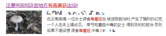 蘑菇|警惕！这道“菜”不要随便吃，最近已致多人死亡！更糟糕的是…