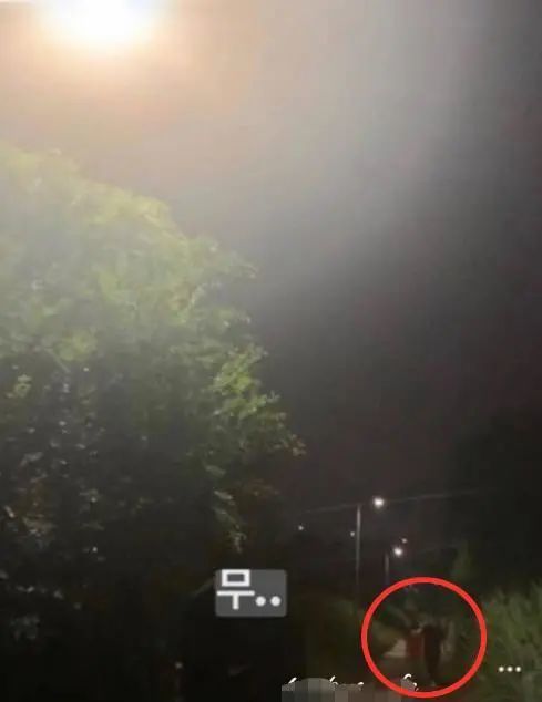 宋慧乔|法制咖的尾巴都现了，宋慧乔可别装了！