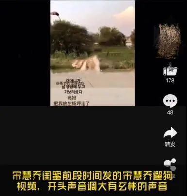 宋慧乔|法制咖的尾巴都现了，宋慧乔可别装了！