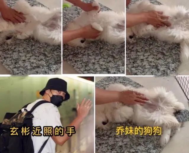 宋慧乔|法制咖的尾巴都现了，宋慧乔可别装了！