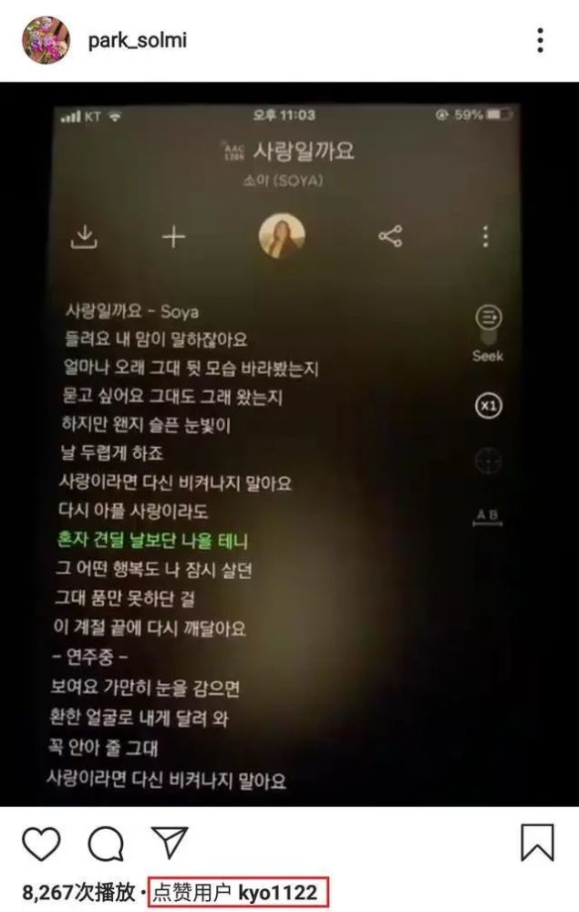 宋慧乔|法制咖的尾巴都现了，宋慧乔可别装了！