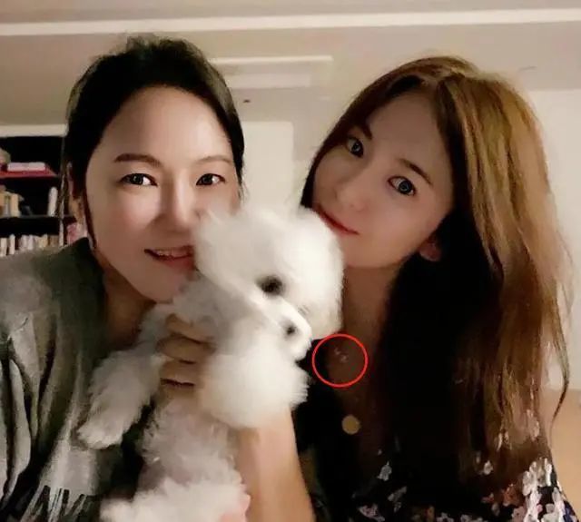 宋慧乔|法制咖的尾巴都现了，宋慧乔可别装了！