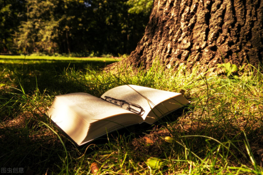 庄子·德充符|完成即终结，残缺乃完美