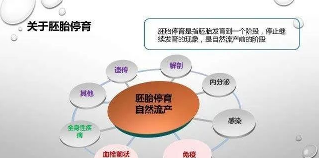宝宝为什么就 胎停 了呢 生殖中心专家为您讲解 胚胎停育 妊娠早期 胚胎