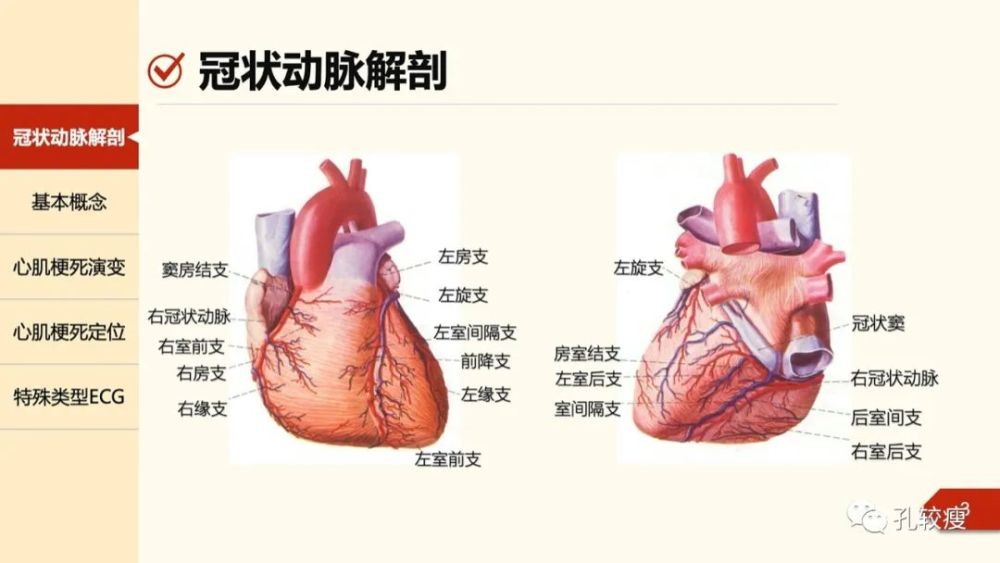 心肌梗死心电图诊断从基础到临床