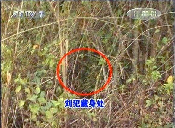 越戰偵察兵劉進榮佔山為王成悍匪被擊斃的消息上新聞聯播