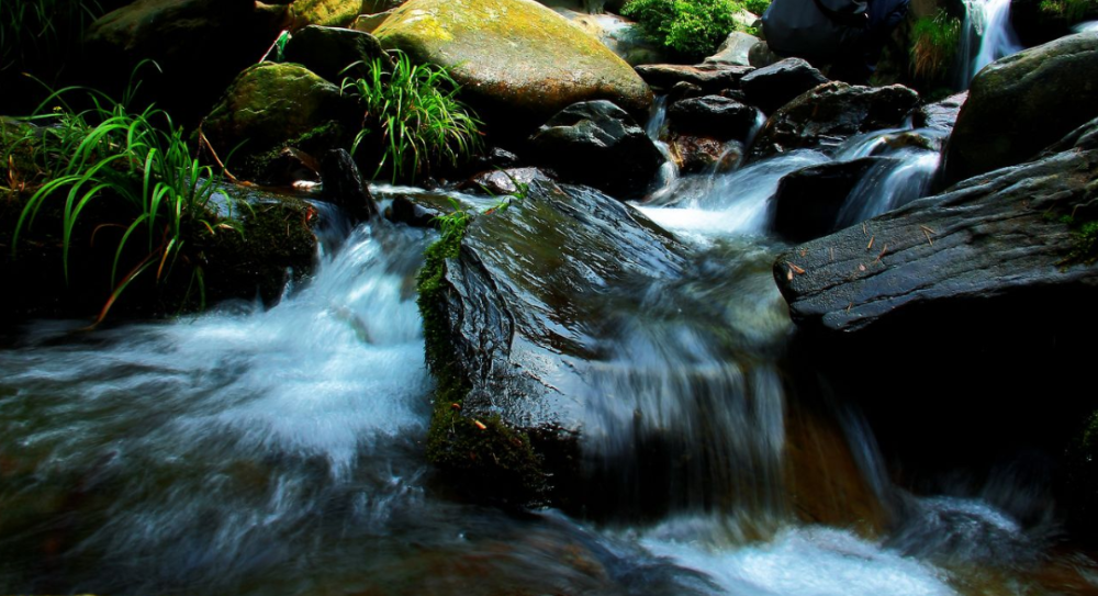 宋词|【诗词鉴赏】 立秋将至，在宋词中欣赏夏天，感受夏天的美丽！