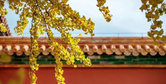 于桓冲|真正的聪明人，才懂得率性而为