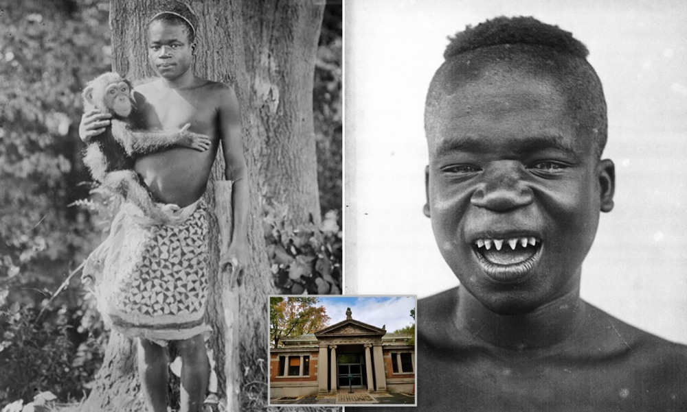 布朗克斯动物园|黑人曾和猴子被关在笼子里供游客取乐，野生动物保护协会百年之后终于认错