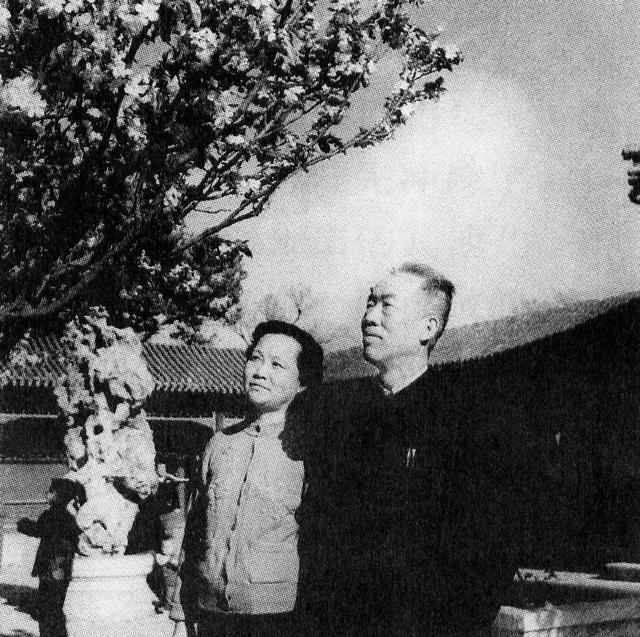 卫星专家赵九章自杀,真相未明,尸首已失踪,10年后空骨灰盒落葬
